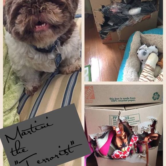 Meet your Posher, Martinee - Picture 1 of 1